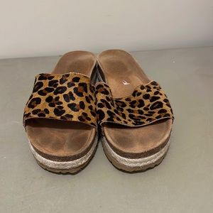 Cheetah platform slides